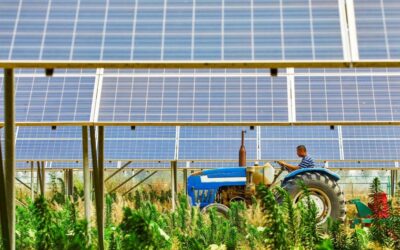 Parco Agrisolare 2024: edifici più sostenibili con il fotovoltaico