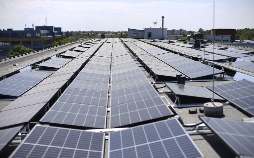 investire in fotovoltaico per azienda