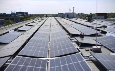 Investire in fotovoltaico: perché dovresti pensarci seriamente se sei un’azienda